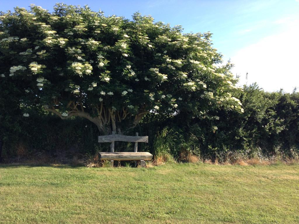 Deeside Manor Bed & Breakfast Stabannan Luaran gambar