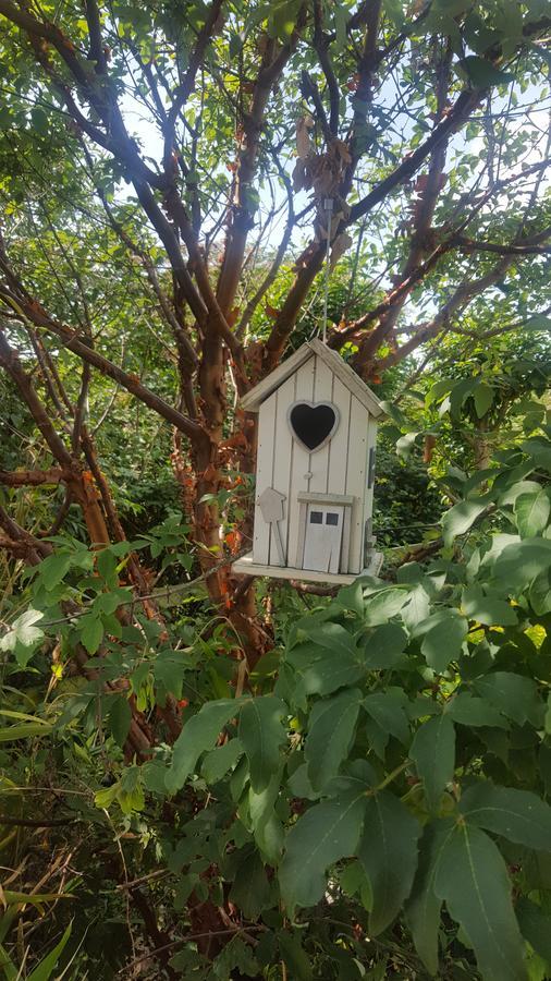 Deeside Manor Bed & Breakfast Stabannan Luaran gambar